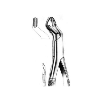  Extracting Forceps American Pattern